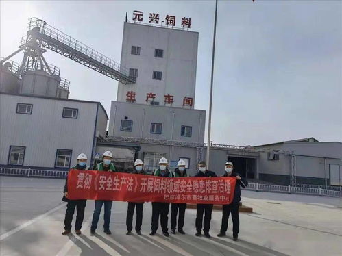 筑牢安全防線，保障市場供應(yīng)——市畜牧業(yè)服務(wù)中心開展春節(jié)前飼料生產(chǎn)企業(yè)安全生產(chǎn)與銷售專項(xiàng)檢查