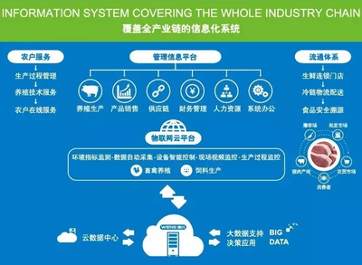 中國生豬產(chǎn)業(yè)企業(yè)數(shù)字化發(fā)展加速 牧原、溫氏、正邦、新希望積極布局